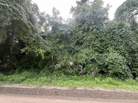 915 Annette Avenue Interlachen FL 32148