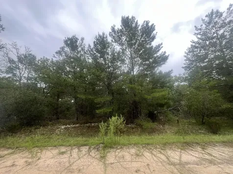 206 Wales Street Interlachen FL 32148