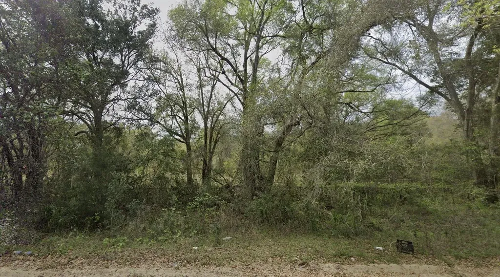 305 Milton Avenue Interlachen FL 32148