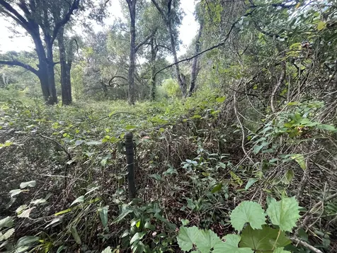 305 Milton Avenue Interlachen FL 32148