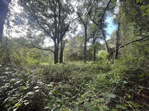 305 Milton Avenue Interlachen FL 32148