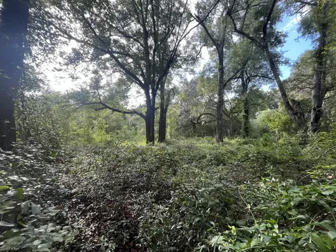 305 Milton Avenue Interlachen FL 32148