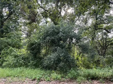 305 Milton Avenue Interlachen FL 32148