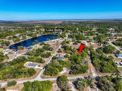 224 Starlight Avenue Lake Placid FL 33852