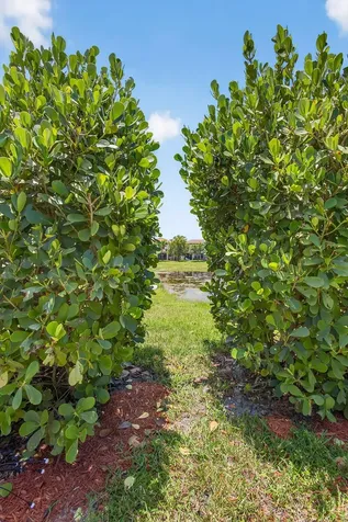 8822 Willow Cove Lane Lake Worth FL 33467