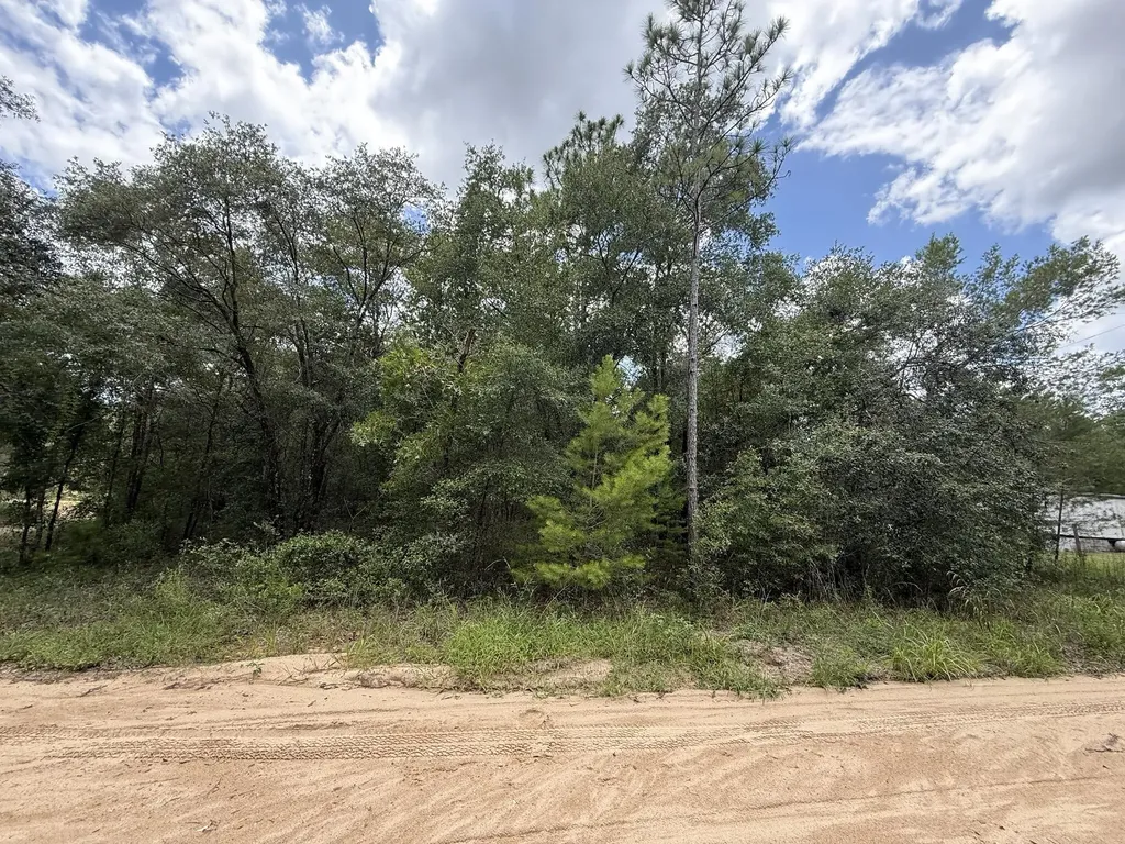 138 SE 8th Avenue Interlachen FL 32148