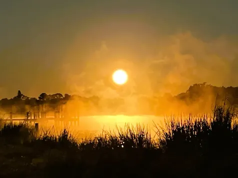 17190 Serengeti Circle Alva FL 33920