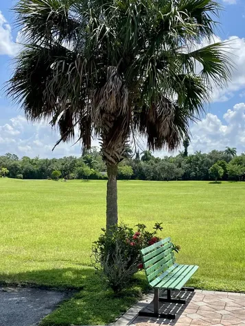 17190 Serengeti Circle Alva FL 33920