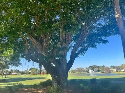15354 Strathearn Drive Delray Beach FL 33446