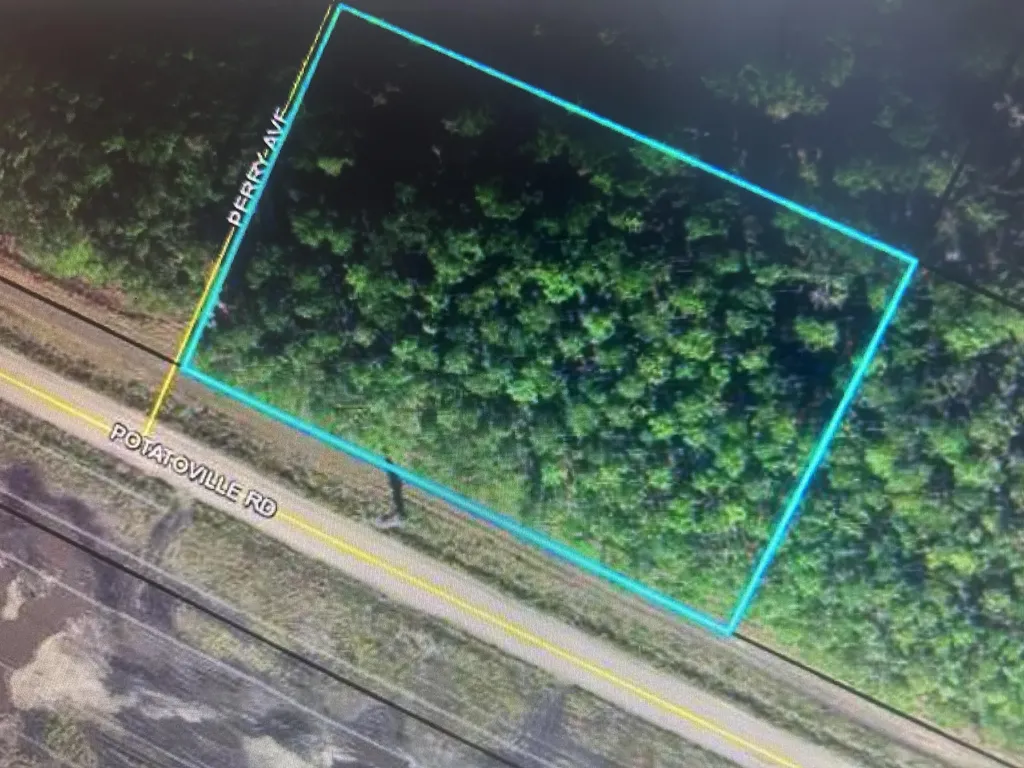579 Perry Avenue Bunnell FL 32110
