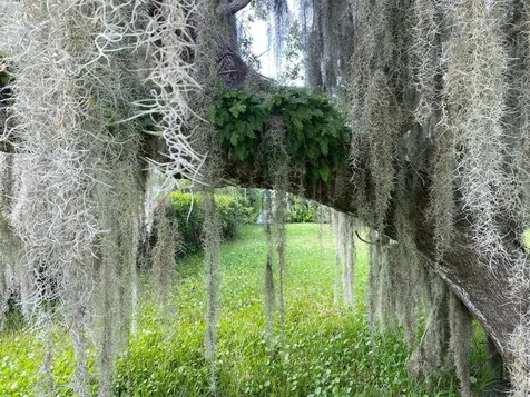 355 Cathedral Oaks Drive Vero Beach FL 32963