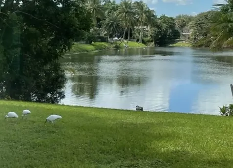 299 Nw 10th Court Boca Raton FL 33486