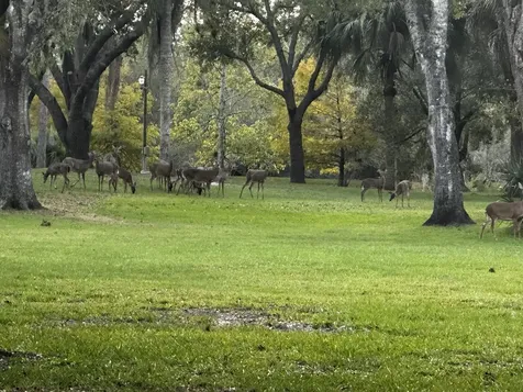 32801 Us Highway 441 Okeechobee FL 34972