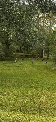 32801 Us Highway 441 Okeechobee FL 34972