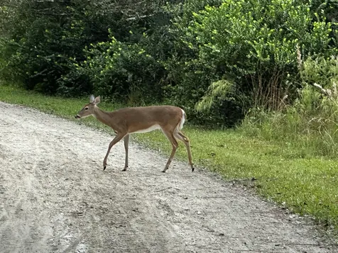 32801 Us Highway 441 Okeechobee FL 34972