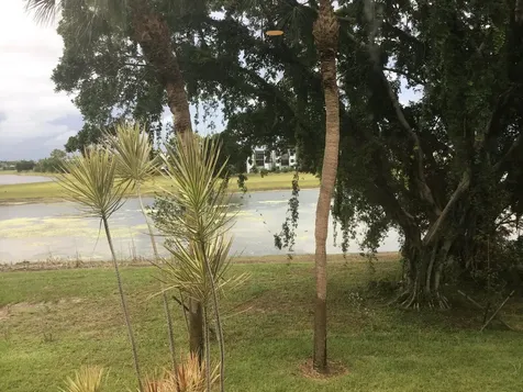 4822 Esedra Court Lake Worth FL 33467