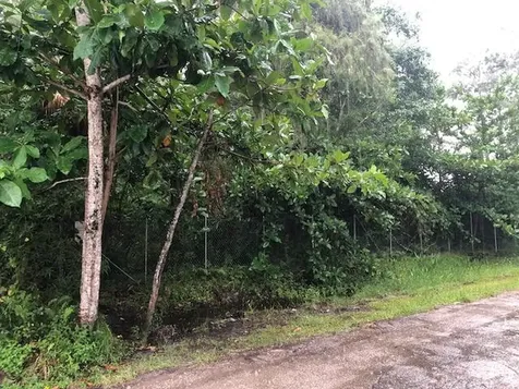 6424 Park Lane Lake Worth FL 33449