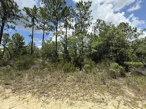 187 Paris Street Interlachen FL 32148