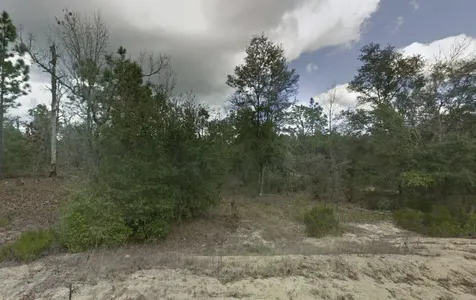 187 Paris Street Interlachen FL 32148