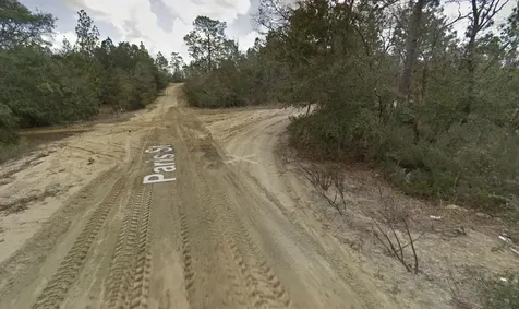 187 Paris Street Interlachen FL 32148