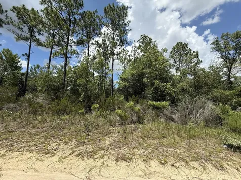 187 Paris Street Interlachen FL 32148