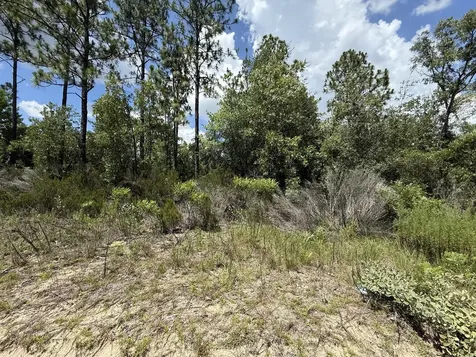 187 Paris Street Interlachen FL 32148