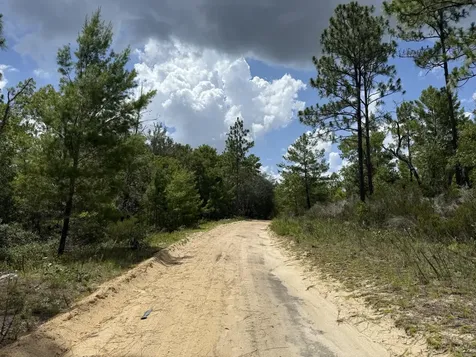 187 Paris Street Interlachen FL 32148