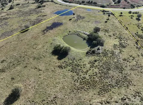 6584 SE 26th Trail Okeechobee FL 34974