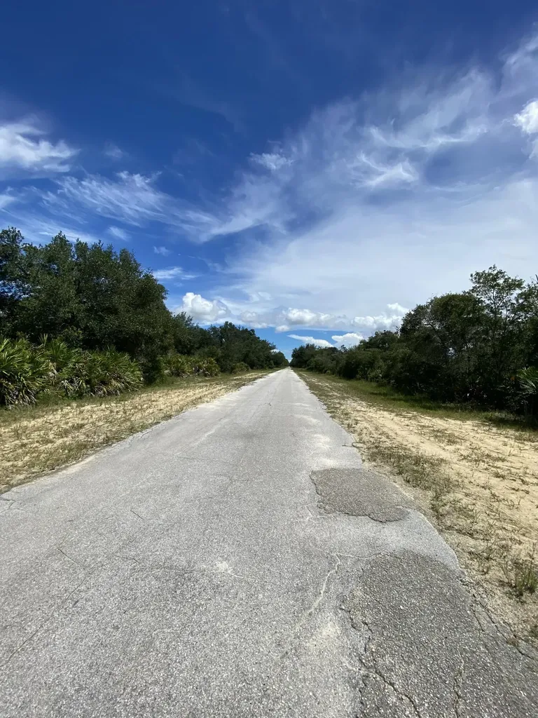 509 Pandora Drive Lake Wales FL 33855