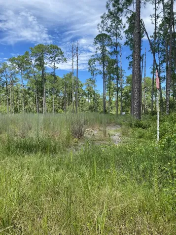 418 Gaillardia Drive Lake Wales FL 33855