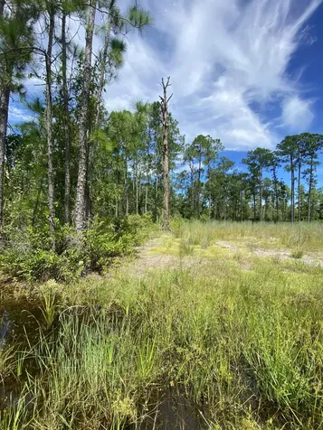 418 Gaillardia Drive Lake Wales FL 33855