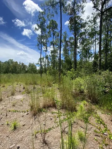 418 Gaillardia Drive Lake Wales FL 33855
