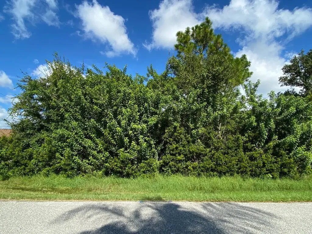 7066 Bargello Street Englewood FL 34224