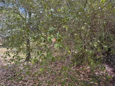 3358 S Jog Road Greenacres FL 33467