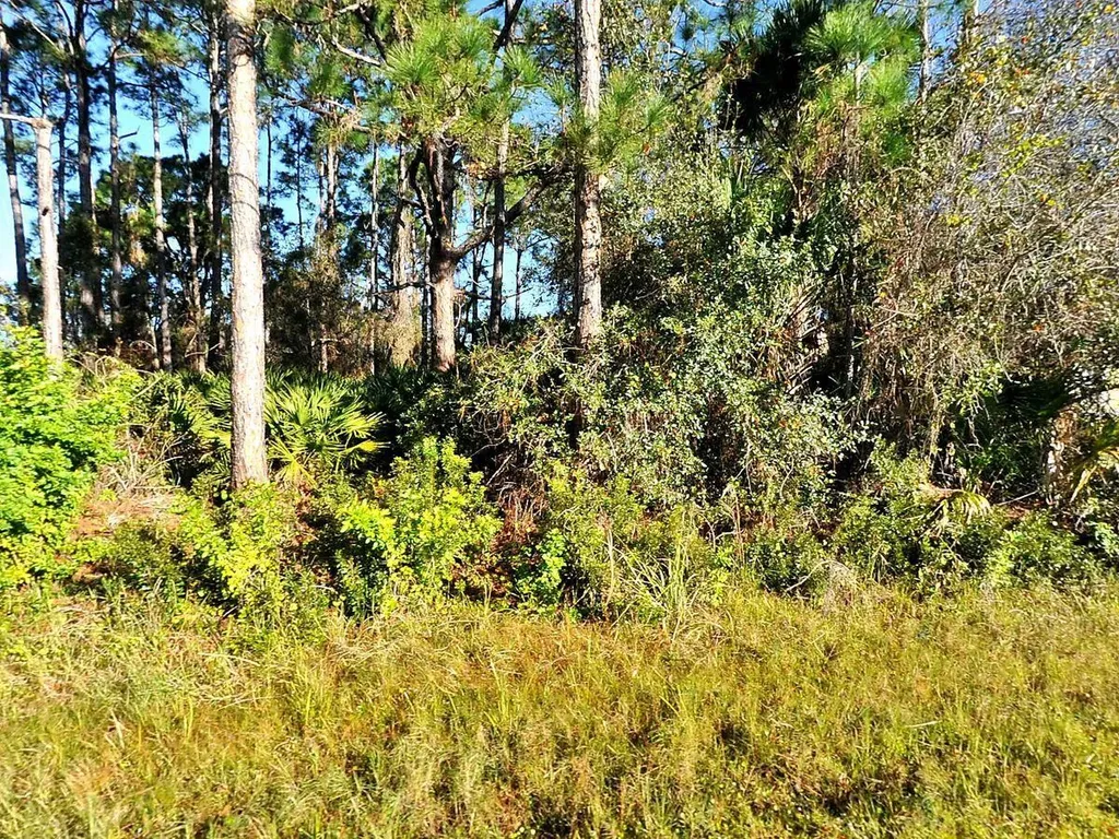 0 Rosa Avenue North Port FL 34286