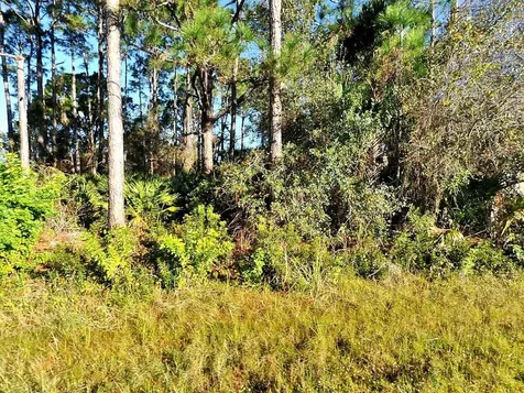 0 Rosa Avenue North Port FL 34286