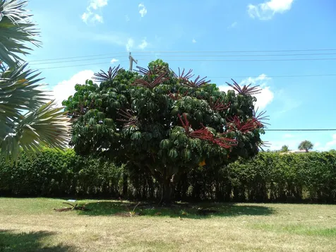 219 Normandy E Delray Beach FL 33484