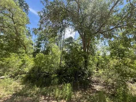 Tbd Tamarac Road Marianna FL 32448