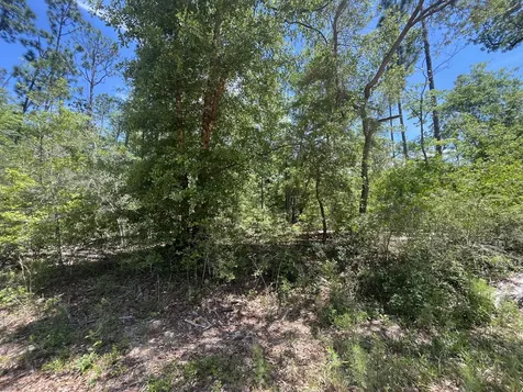 Tbd Tamarac Road Marianna FL 32448