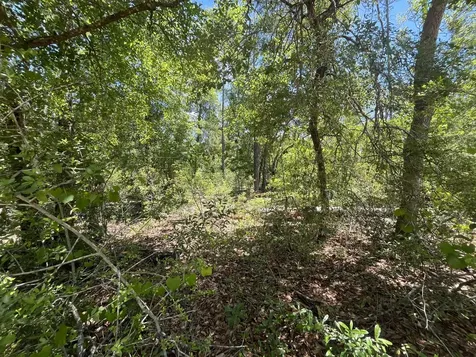 Tbd Tamarac Road Marianna FL 32448