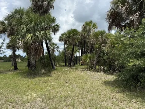 15775 NW 288th Street Okeechobee FL 34972