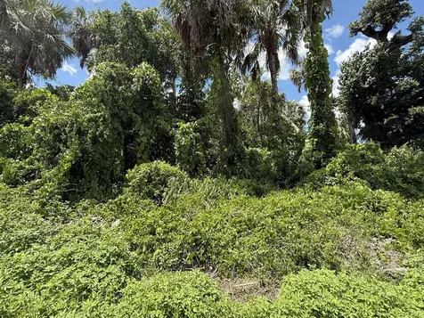 16459 Bauers Avenue Port Charlotte FL 33954