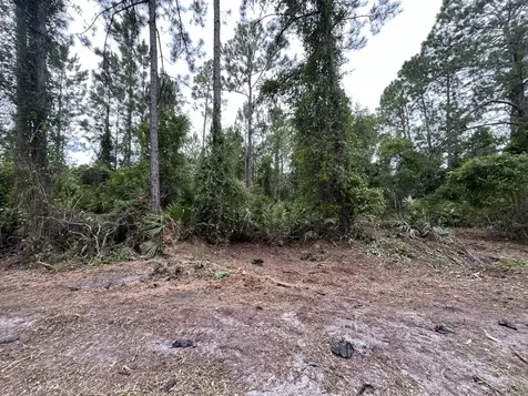 147 Roebuck Street Georgetown FL 32139