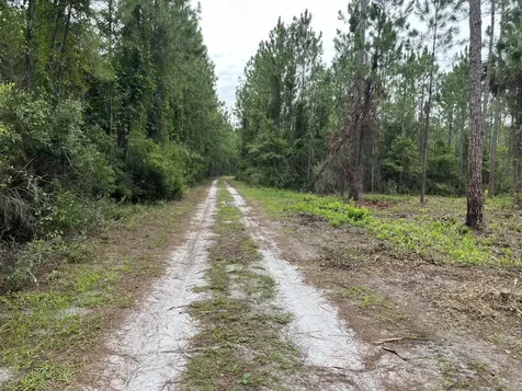 147 Roebuck Street Georgetown FL 32139