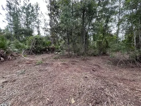 147 Roebuck Street Georgetown FL 32139