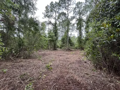 147 Roebuck Street Georgetown FL 32139