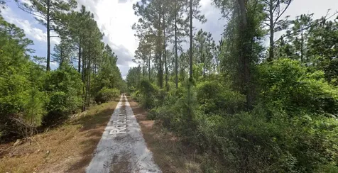 147 Roebuck Street Georgetown FL 32139