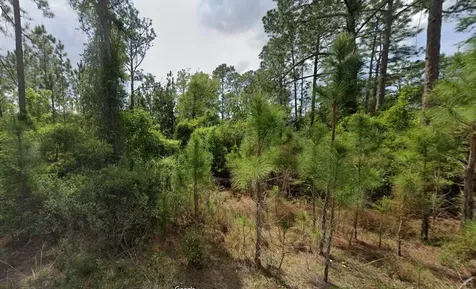 147 Roebuck Street Georgetown FL 32139