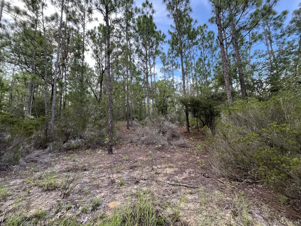 124 New York Avenue Interlachen FL 32148