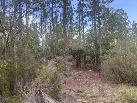 124 New York Avenue Interlachen FL 32148